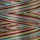 Spule Poly Sheen Multi Tween Fashion, bunt mit Braun, Mint, Rosa und Hellblau